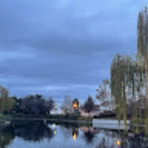 Meet your Posher, Vivian